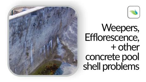 orenda leak|Weepers, Efflorescence, and other Concrete Pool Shell Problems .